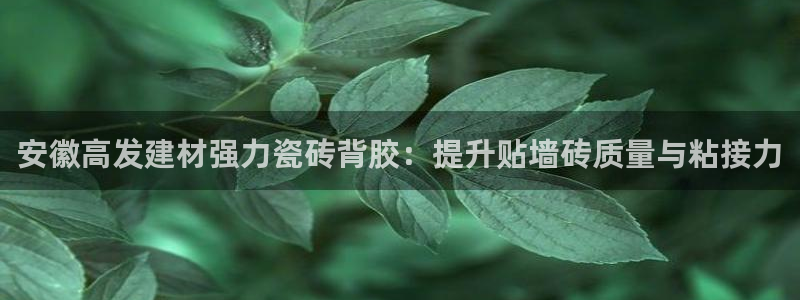 杏鑫平台正规吗是真的吗