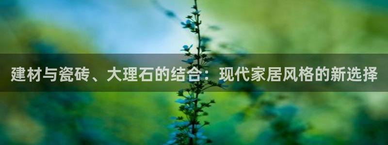 杏鑫平台野马联盟怎么样