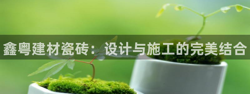 杏鑫手机客户端怎么下载