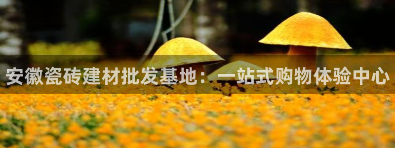 杏鑫平台代理怎么样赚钱