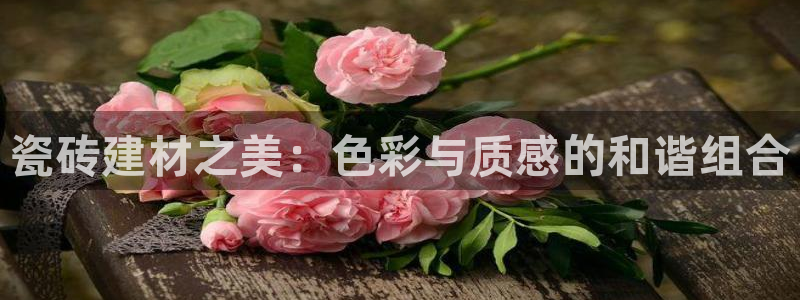 杏鑫娱乐官网下载