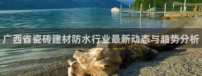 杏鑫平台怎么样