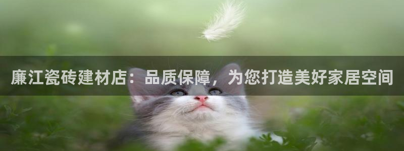 杏鑫平台怎么样
