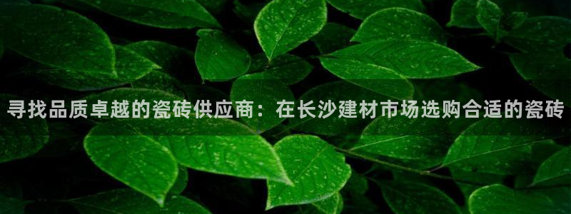 杏鑫平台登录地址在哪