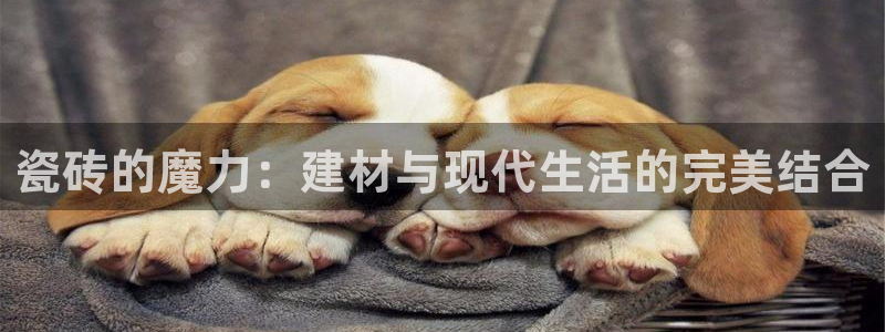 杏鑫娱乐靠谱吗