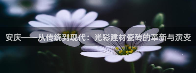 杏鑫平台招商电话号码