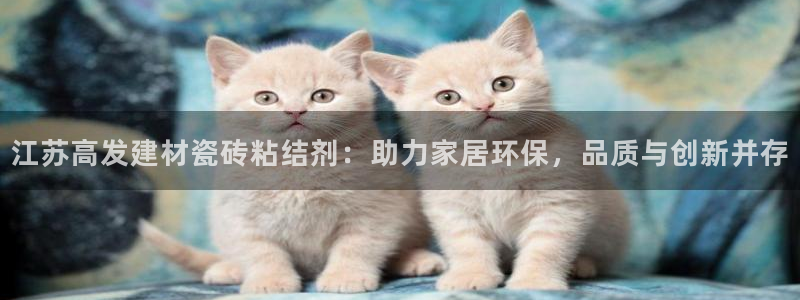 杏鑫平台代理怎么做
