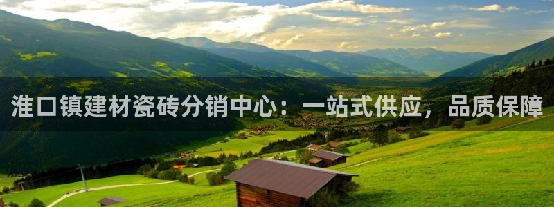 杏鑫平台代理注册流程视频