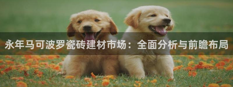 杏鑫娱乐是真的吗