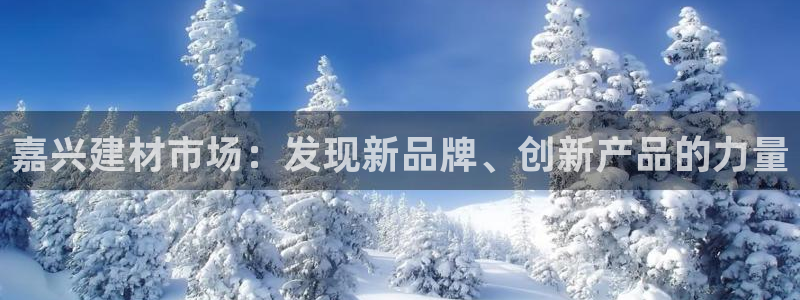 杏鑫平台注册地址