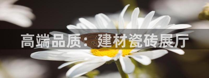 杏鑫平台代理注册多少钱一年