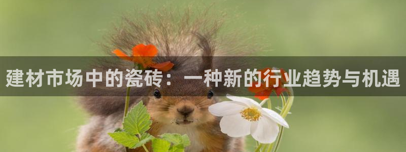 杏鑫注册平台官方网站入口