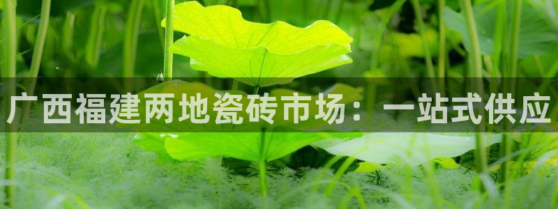 杏鑫平台在线注册怎么注册