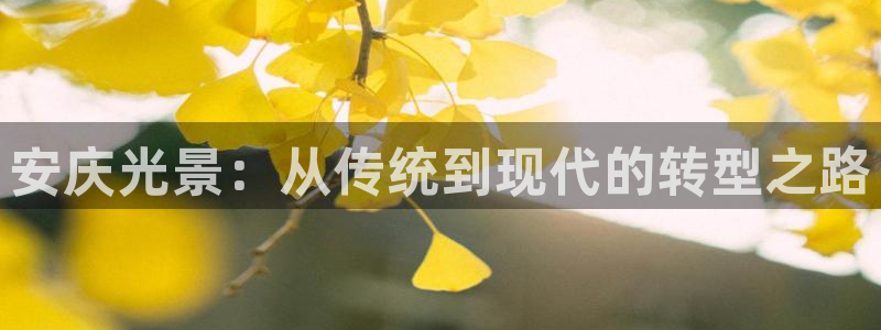 杏鑫平台注册网址是什么