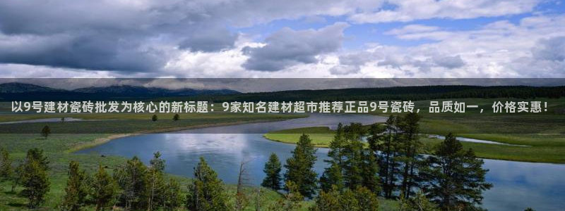 杏鑫平台代理注册流程及费用