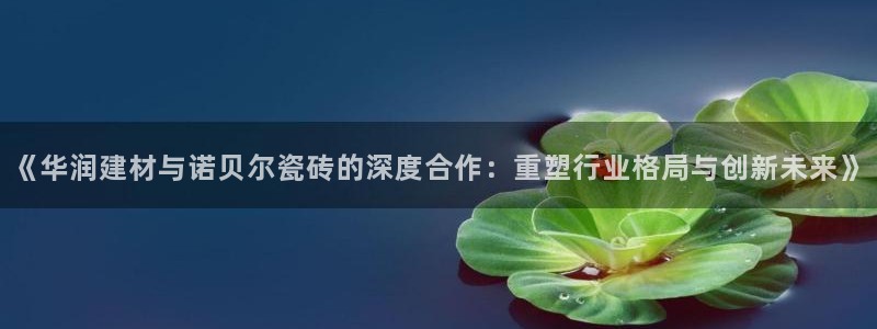 杏鑫官网注册账号是什么样的