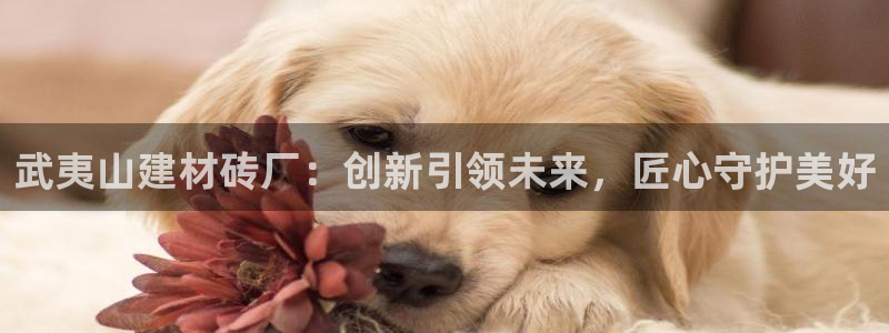 杏鑫平台在线注册