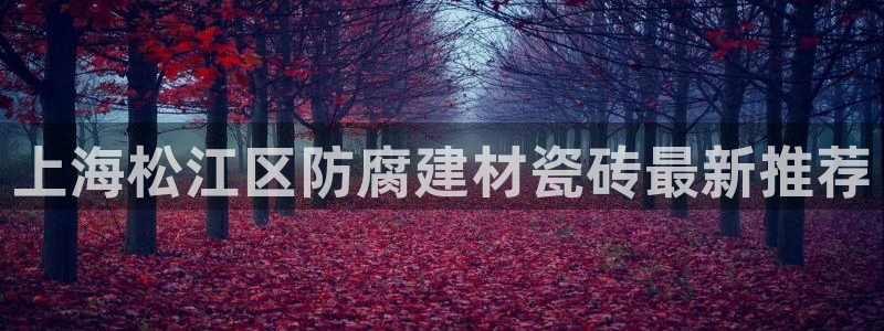 杏鑫平台代理注册多少钱一个