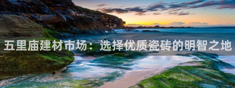 杏鑫平台代理怎么样