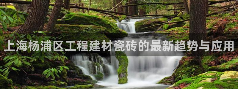 杏鑫代理注册资金多少